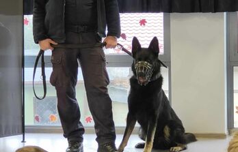 Wizyta policji z psem policyjnym