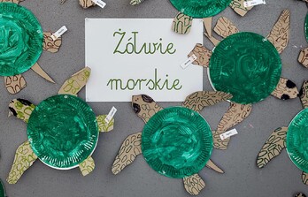 Liski w podwodnym świecie ŻÓŁWI MORSKICH
