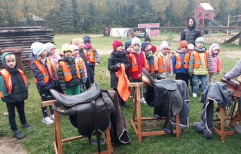 Wycieczka Sokole Ranczo Liski i Myszki