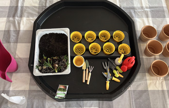 Tygryski witają wiosnę